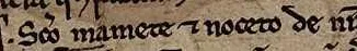 Línea manuscrita donde se lee «noceto»