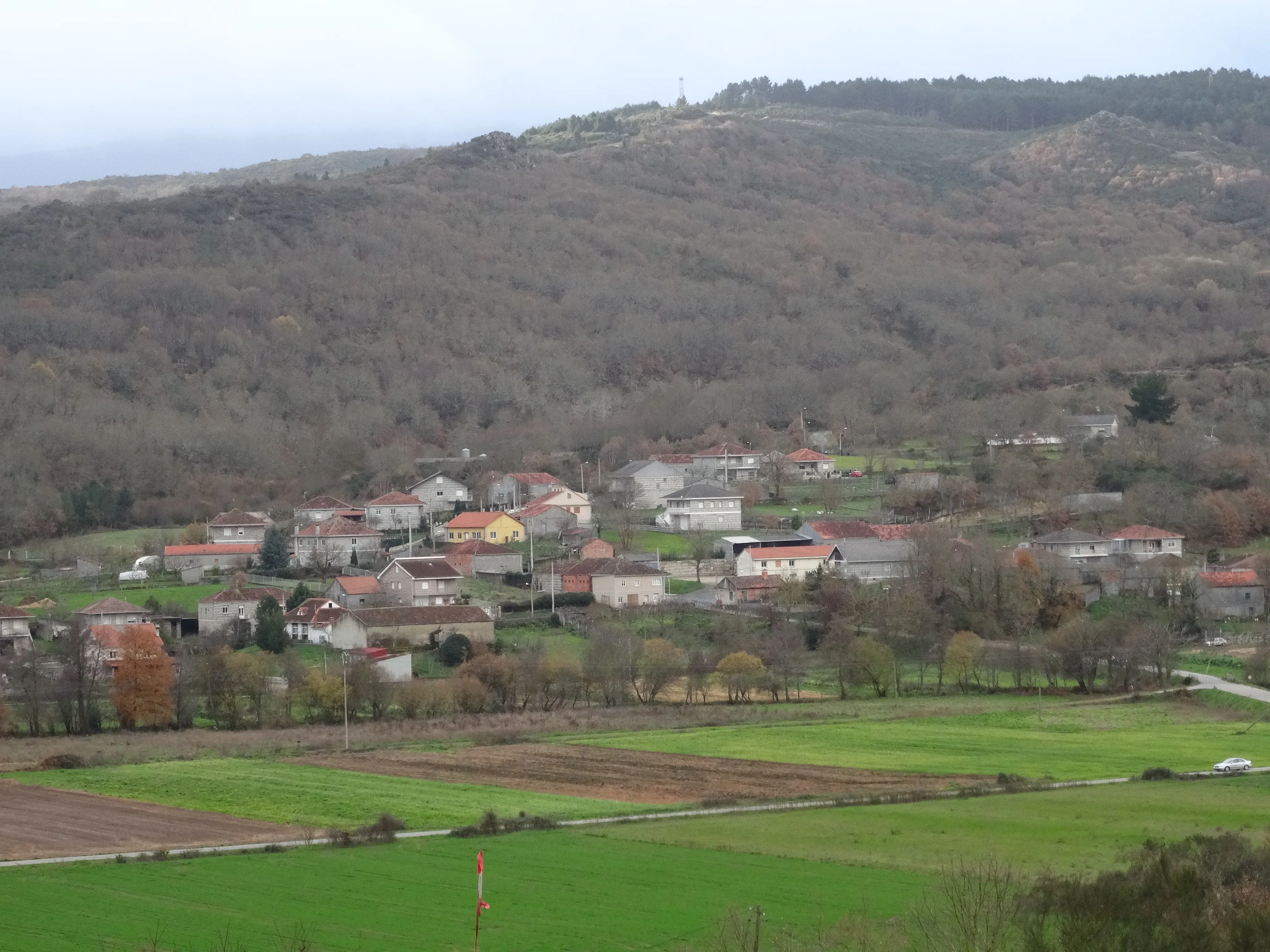 Vista de Nocedo: casas en medio del valle, fincas verdes delante y monte detrás