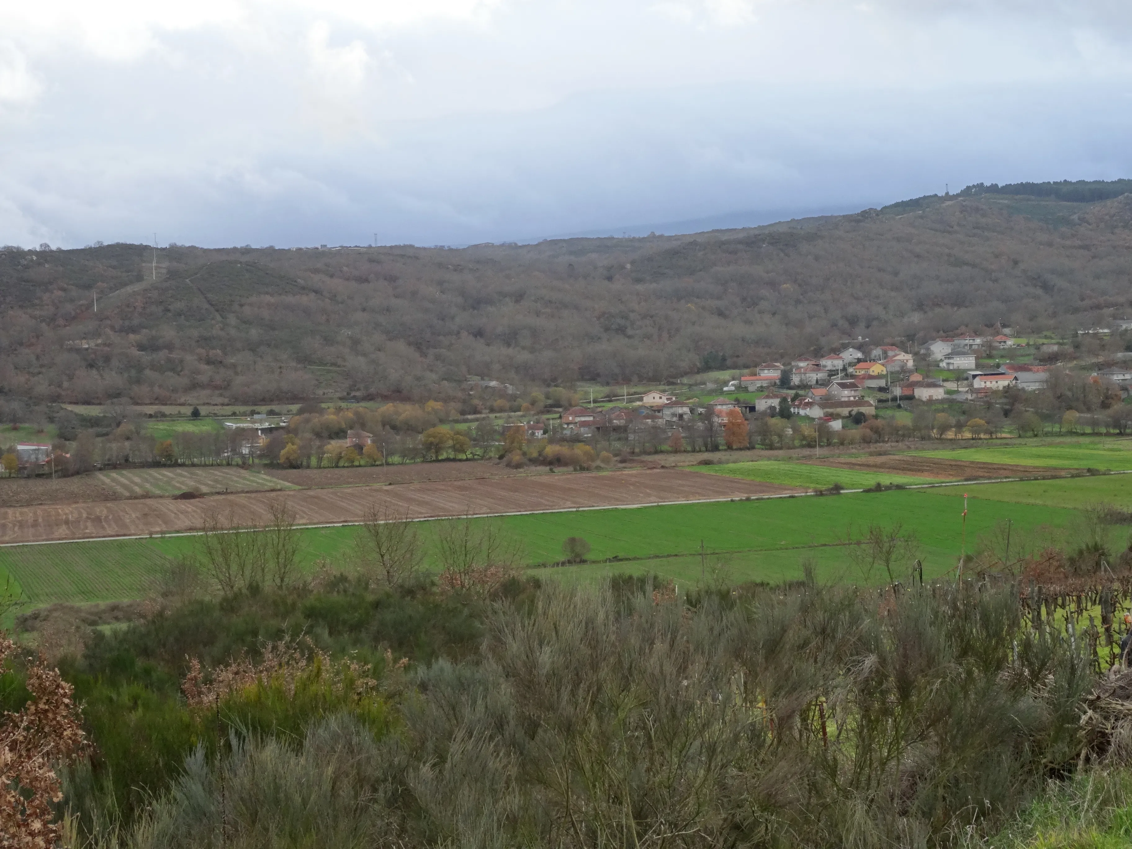 Llanura verde con fincas y el pueblo al fondo